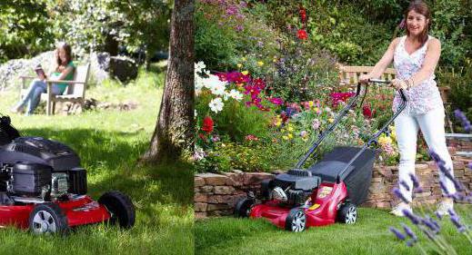 lawnmower น้ำมันเบนซินการจัดอันดับแบบจำลองราคาที่ดีที่สุด 