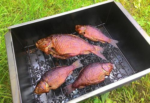 การสูบบุหรี่ของปลาคาร์พ ปลารมควันร้อนที่บ้าน: คุณลักษณะและคำแนะนำ