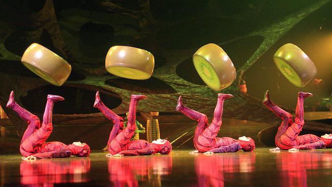 Cirque du Soleil ในเซนต์ปีเตอร์สเบิร์ก: ความคิดริเริ่มและความสว่างของการแสดง