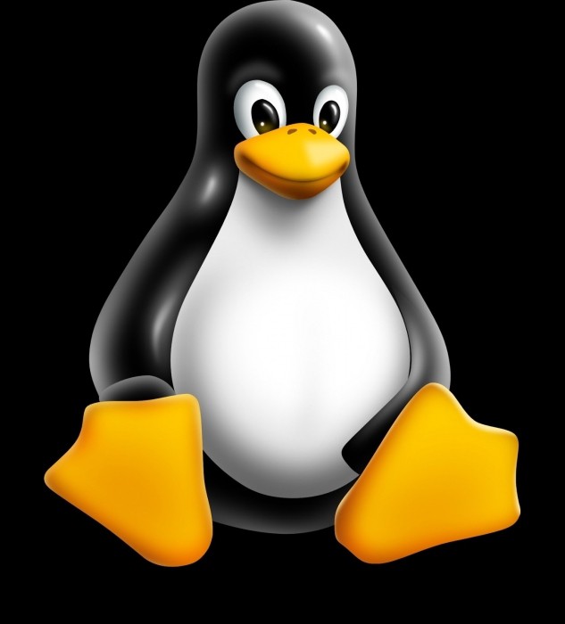 วิธีการหารุ่นของ Linux, คำสั่งพื้นฐาน