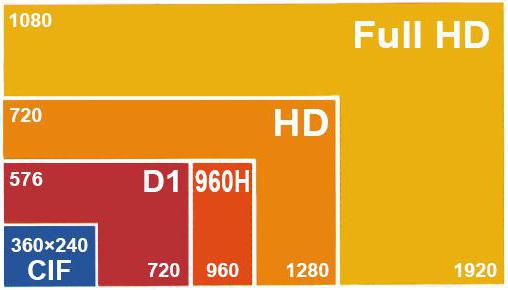 web dlrip นี่คืออะไร 