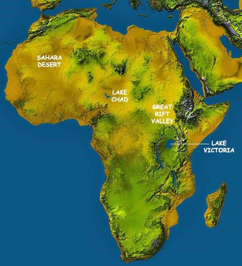 ตำแหน่งทางภูมิศาสตร์ของแอฟริกา คุณสมบัติของที่ตั้งทางภูมิศาสตร์ของทวีป