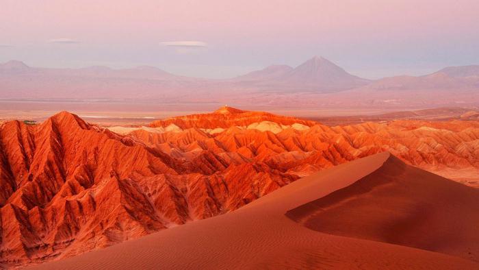 ทะเลทรายเขตร้อน: ลักษณะทั่วไป ตัวแทนที่โดดเด่นที่สุด