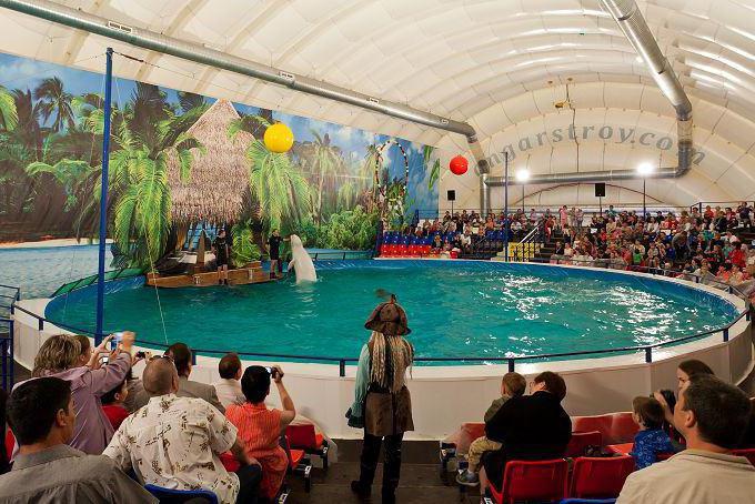 Dolphinarium ที่ VDNH - สถานที่ที่คุณสามารถทำความคุ้นเคยกับโลมาใกล้!