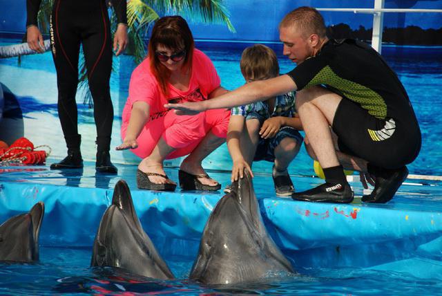 Dolphinarium (Novorossiysk) - ทะเลของความชื่นชมและความสนุกสนาน