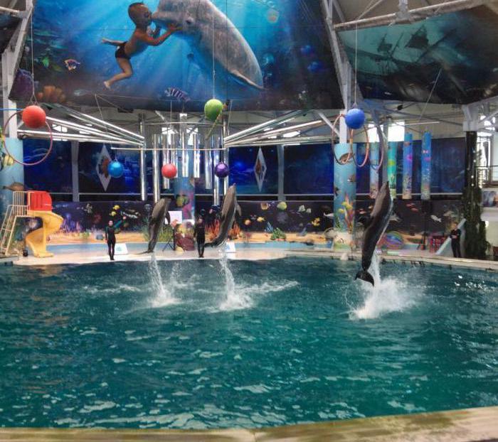 โหมดการทำงานของ Evpatoria Dolphinarium 