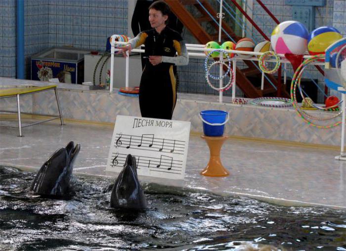 Karadag dolphinarium: คำอธิบายและบทวิจารณ์ของนักท่องเที่ยว