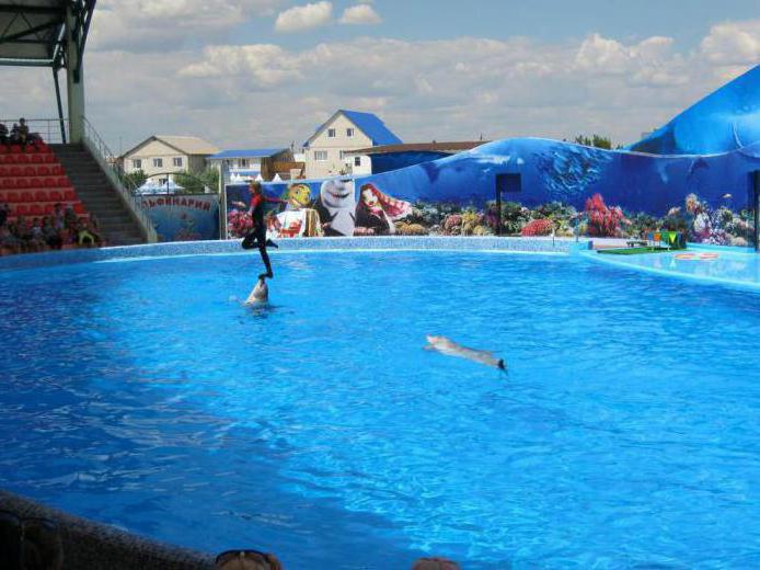 Cyrillic dolphinarium