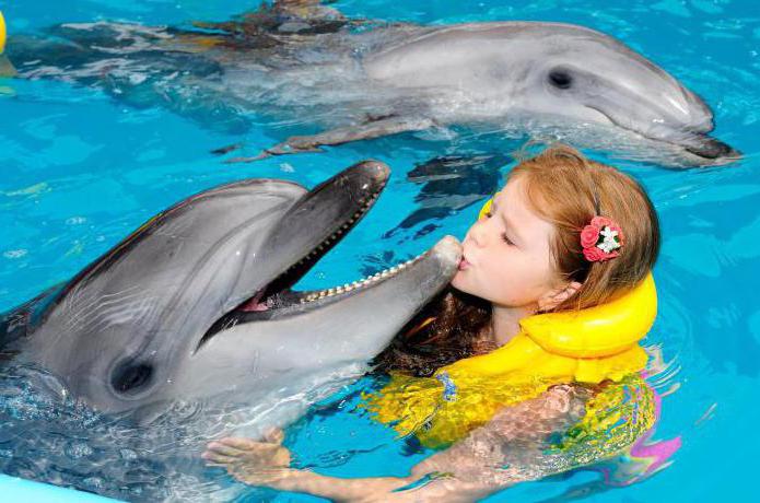 ราคาตั๋วไป Dolphinarium ใน Cyrillic