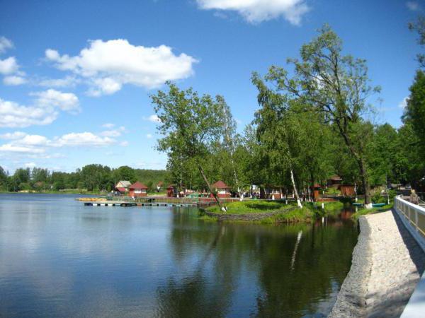 ทะเลสาบ Koltushskoe เป็นสถานที่ที่ยอดเยี่ยมสำหรับการพักผ่อนและการตกปลา (เขตเลนินกราด)