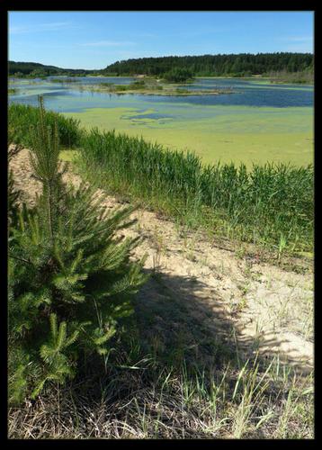 ประวัติความเป็นสุขจากการพักผ่อน - Blue Lakes of Lukhovitsy