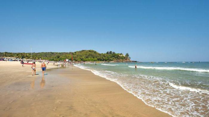 Hotel Highland Beach Resort 3 ความคิดเห็นจากโรงแรมใน North Goa