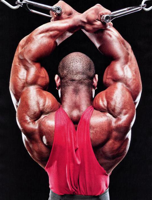 โปรแกรมการฝึกอบรม Dexter Jackson 