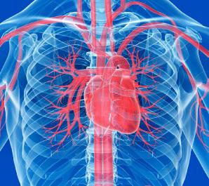 Subclavian artery. ซินโดรมของหลอดเลือดแดง subclavian