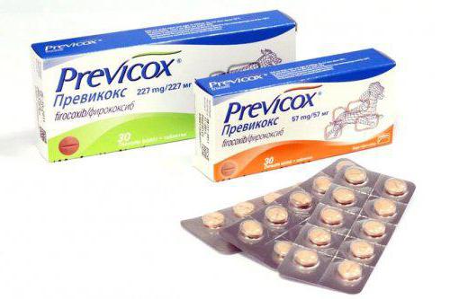 previcox สำหรับสุนัข 