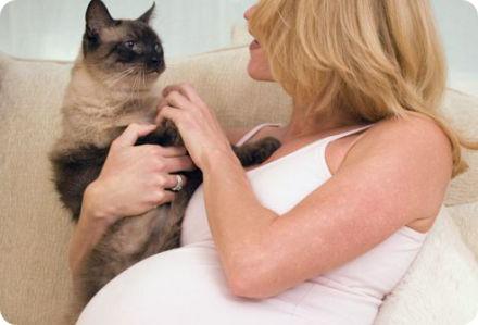 toxoplasmosis การวิเคราะห์การรักษาอาการในเด็ก